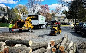 Best Grass Overseeding  in Millington, NJ