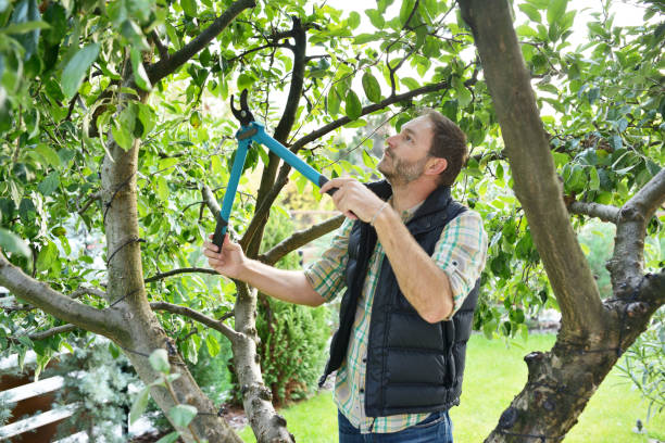 Best Commercial Tree Services  in Millington, NJ